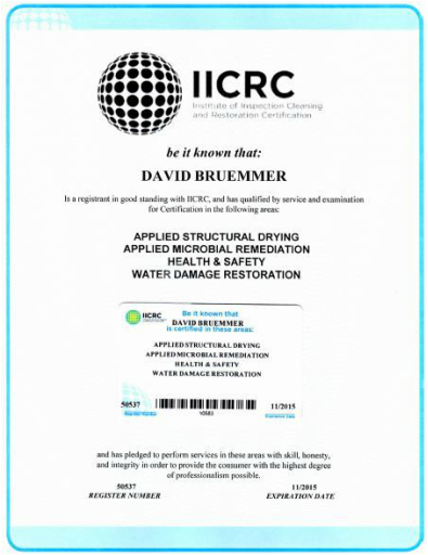 Dave Bruemmer IICRC Certified